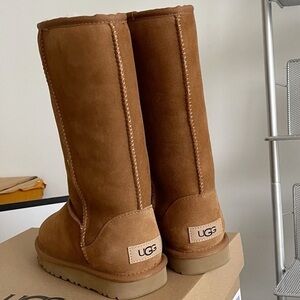 UGG Chestnut Sheepskin Boots